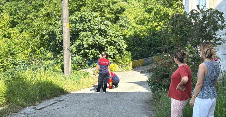 Alaplı'da gaz kaçağı nedeniyle alev alan piknik tüpü paniğe neden oldu