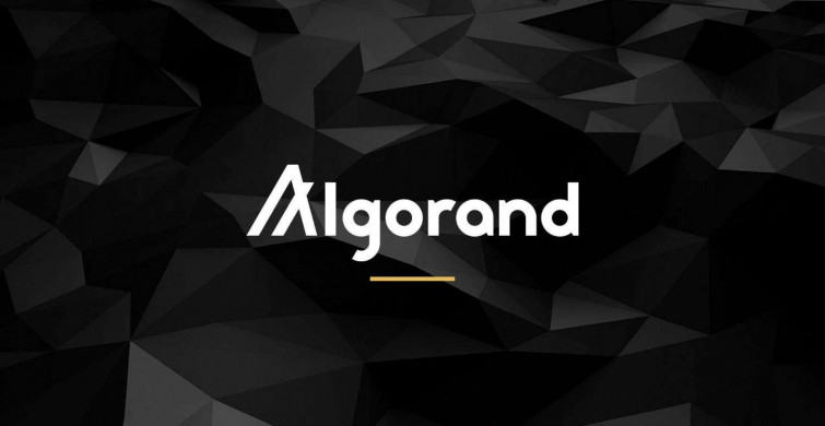 Algo coin nedir? Algorand coin projesi ve yol haritası