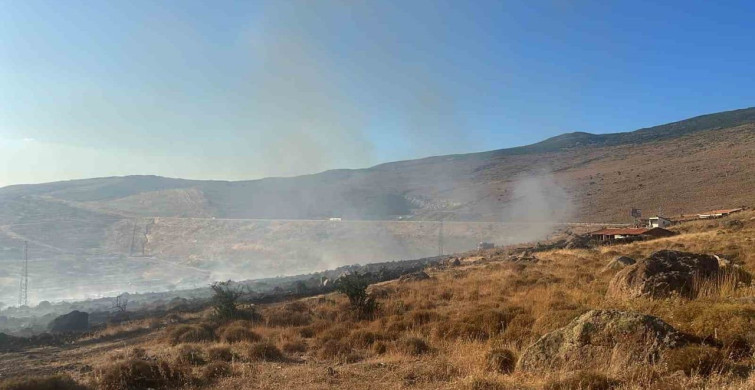 Aliağa'da otluk alanda yangın kontrol altına alındı