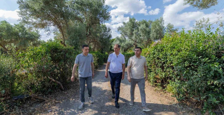 Aliberti Köşkü kent parkına dönüşüyor