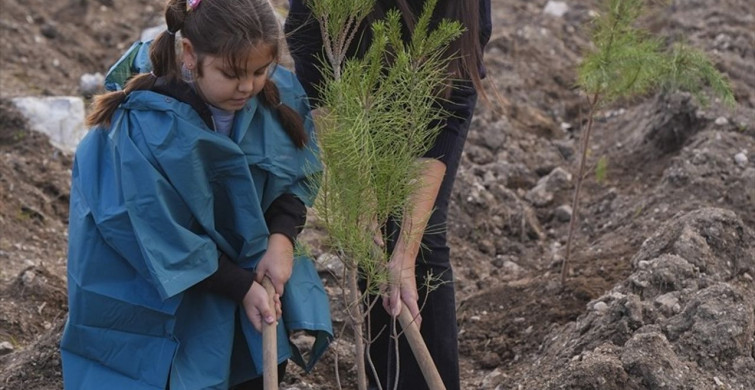 ALJ Türkiye İzmir'de 310 Bin Fidan Dikti