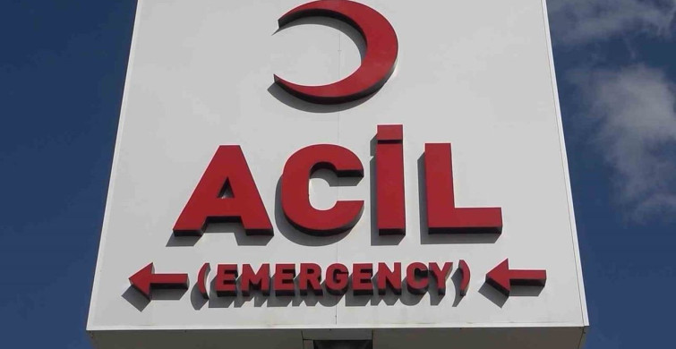 Alkollü Sürücü Kaçtı, Polisleri Yaraladı