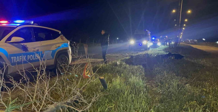 Alkollü Sürücü Kontrolü Kaybedince Kaza Yaptı