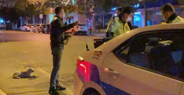 Alkollü ve Ehliyetsiz Yakalanan Sürücünün Koronavirüs Karantinasını Deldiği Ortaya Çıktı!
