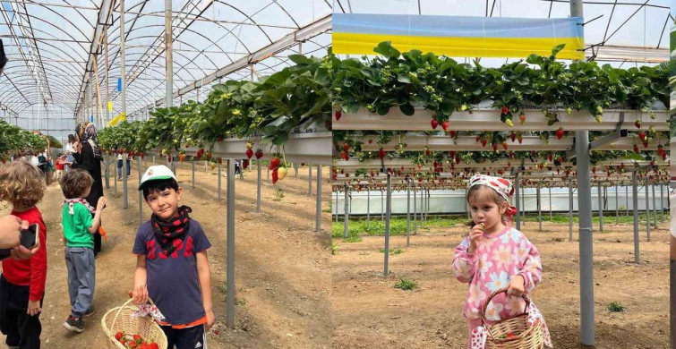 ALKÜ Uygulama Anaokulu'ndan Çevre Eğitimi Etkinliği