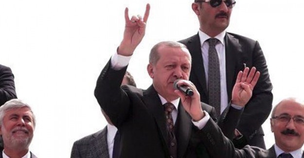 Almanya'da Bozkurt İşareti Yapmak Yasaklanacak!