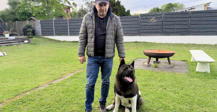 Almanya'da Köpek Sahiplerine Zorunlu Sorumluluk Sigortası