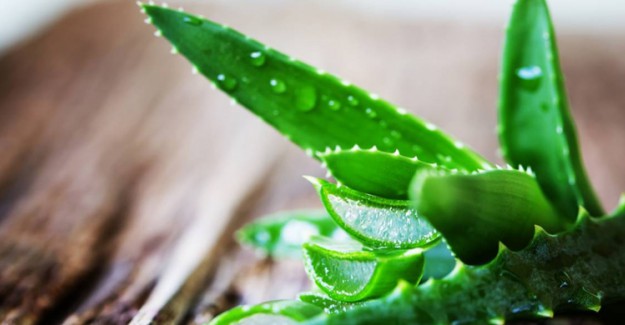 Aloe Vera ile Cilt Bakımı Nasıl Yapılır?