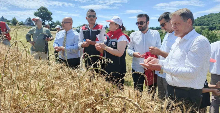 Altındaneler toprakla buluşuyor projesinde hasat heyecanı