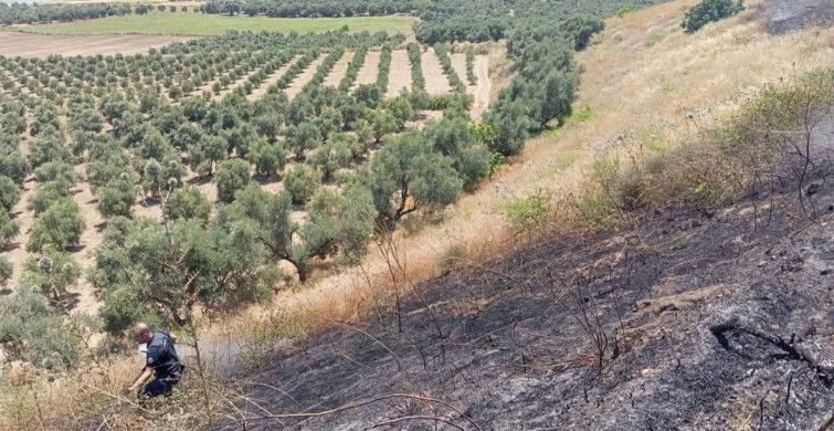 Altınözü'nde anız yangını kontrol altına alındı