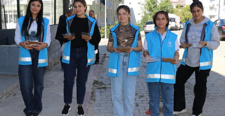 Amasya'da Öğrenciler Sokak Hayvanları İçin Destek Oldu