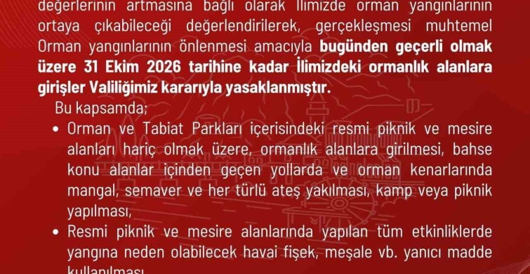 Amasya'da ormanlık alanlara girişler yasaklandı