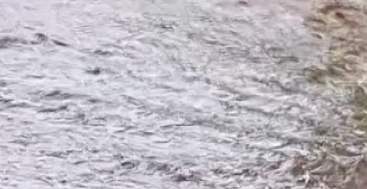 Amasya'da Şiddetli Yağmur Köy Yollarını Sular Altında Bıraktı