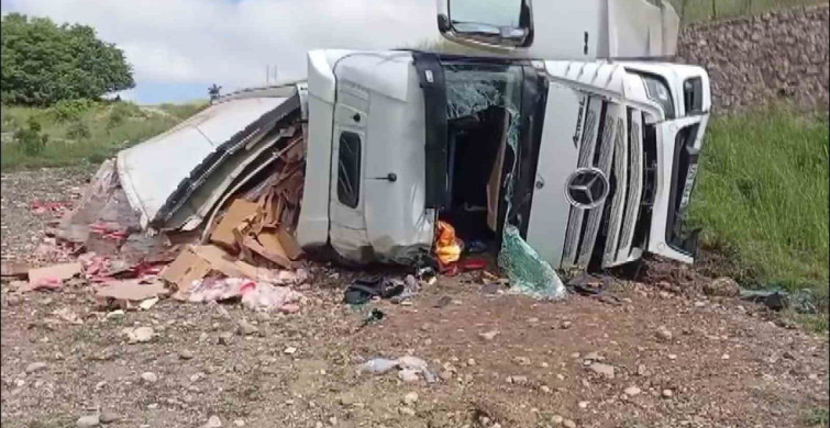Amasya'da Tavuk Yüklü Tır Şarampole Uçtu: İki Yaralı