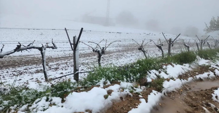 Ani Hava Değişimleri Tarımı Vurdu