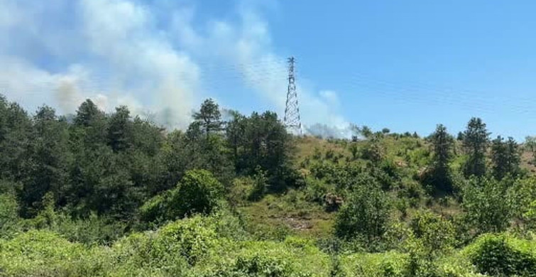 Anız yangını ormana sıçrayarak büyük zarara yol açtı