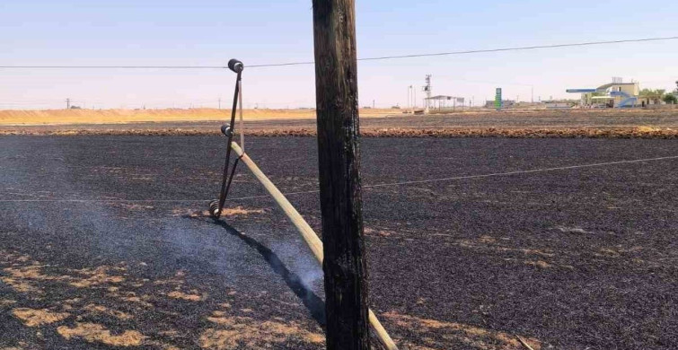 Anız yangınları enerji altyapısını tehdit ediyor