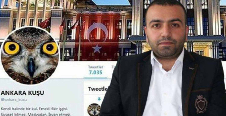 Ankara Kuşu kimdir? Twitter Ankara Kuşu kim olduğu belli mi, Oktay Yaşar mı? Ankara Kuşu hakkında bilgiler