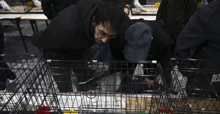 Ankara'da 24. Uluslararası Şebap Güvercin Festivali Yapıldı