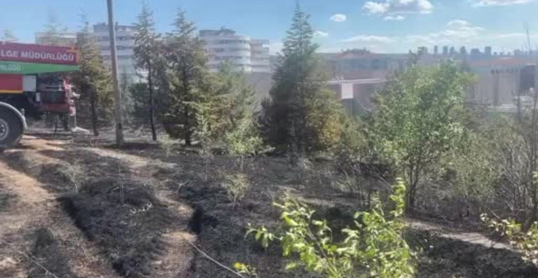 Ankara'da arazide çıkan yangın kontrol altına alındı