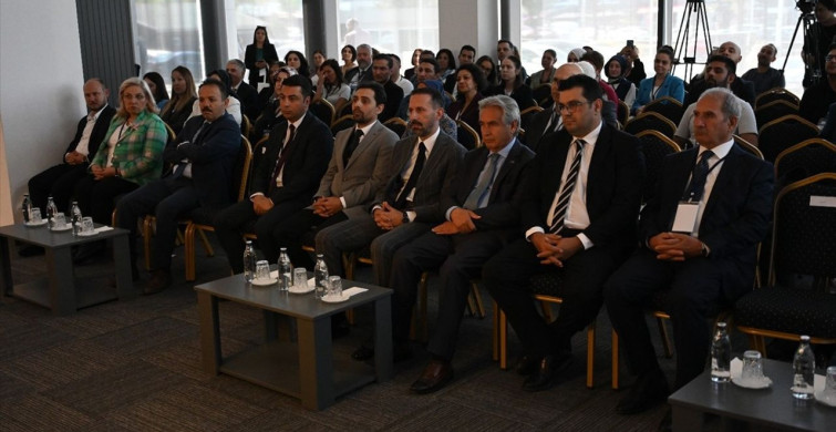Ankara'da Geleneksel Türk Tiyatrosu Çalıştayı Düzenlendi