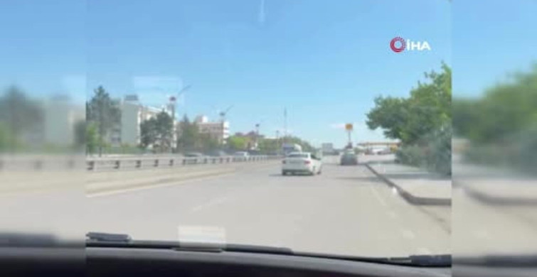 Ankara'da Kaçan Kurbanlık Dana Paniğe Neden Oldu