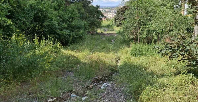 Ankara'nın Çankaya ilçesinde altyapı ve çevre sorunları mahalle sakinlerini isyan ettiriyor