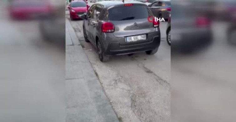 Ankara'nın Sincan ilçesinde sokakta fare paniği