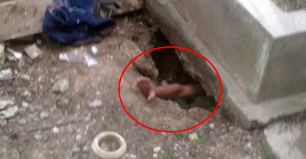 Annesinin Mezarına Kamera Koyan Adam Gördükleri Karşısında Şoke Oldu!