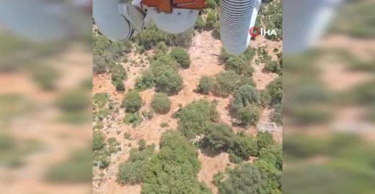 Antalya Demre'de orman yangınına müdahale sürüyor