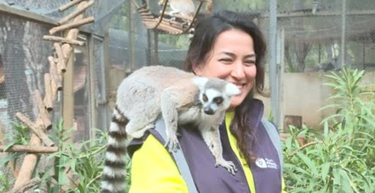 Antalya Doğal Yaşam Parkı'nda Yavru Lemur Sevinci