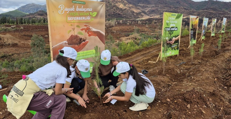 Antalya'da 11 Kasım Milli Ağaçlandırma Günü Etkinlikleri