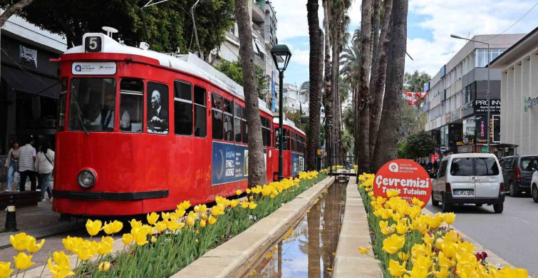 Antalya'da Baharın Renkleri: Laleler Sırayı Bildirdi