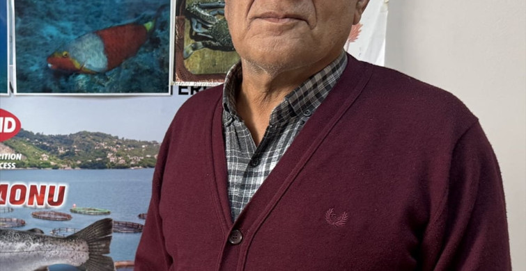 Antalya'da Boğa Vatozları Sürü Halinde Ağa Takıldı