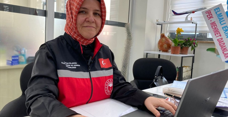 Antalya'da Fırtına Zararları İçin Hasar Tespit Çalışmaları Başladı
