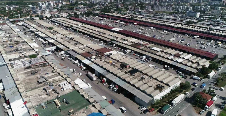Antalya'da haziranda domates ve meyvede işlem miktarı arttı
