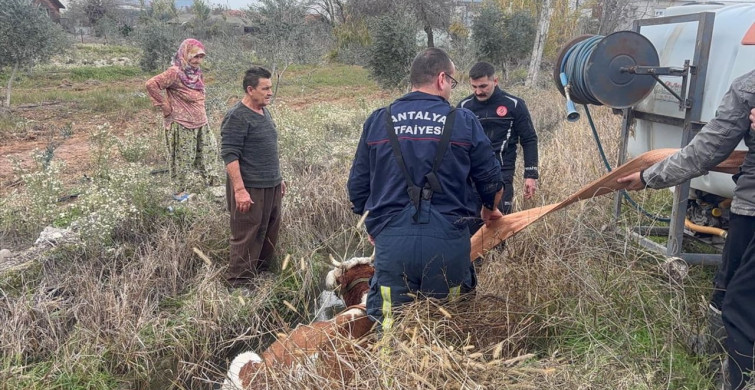 Antalya'da İtfaiye İneği Kurtardı