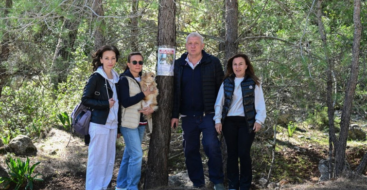 Antalya'da Kaybolan İki Köpek İçin Umut Nöbeti