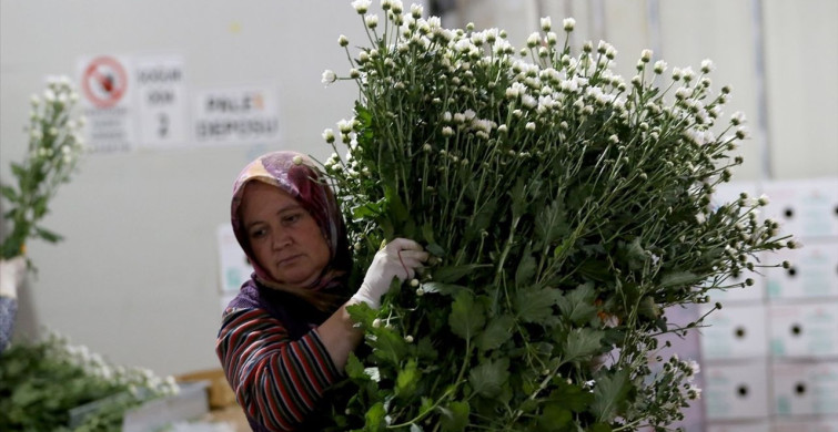 Antalya'da Öğretmenler Günü için Çiçek Mezatı Hareketliliği