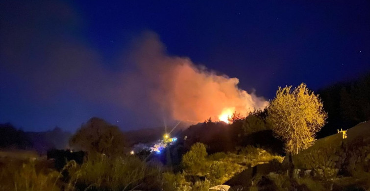 Antalya'da Orman Yangını: Ekipler Müdahalede Bulunuyor