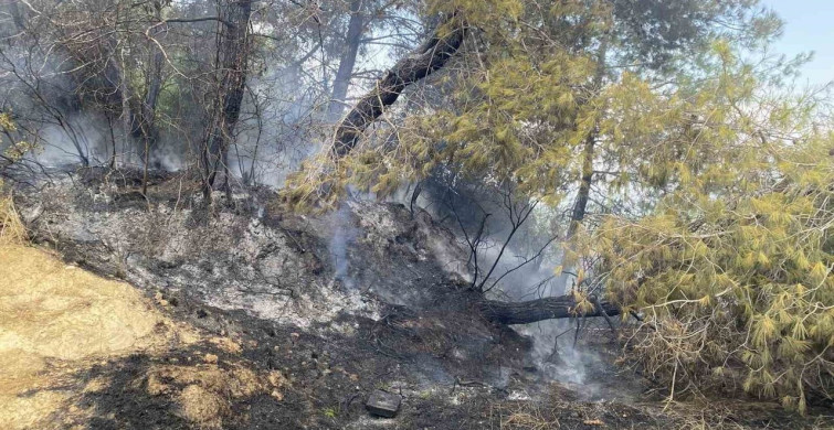 Antalya'da Orman Yangını Kontrol Altına Alındı