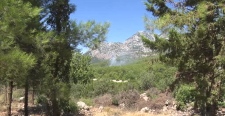 Antalya'da ormanlık alanda çıkan yangın büyümeden kontrol altına alındı