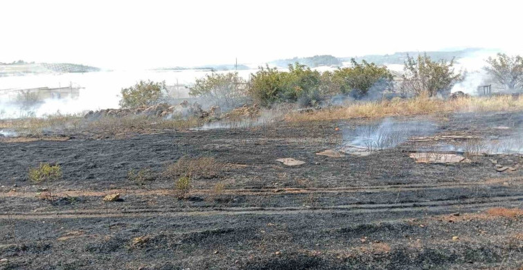 Antalya'da otluk alan yangını itfaiye ekipleri tarafından kontrol altına alındı