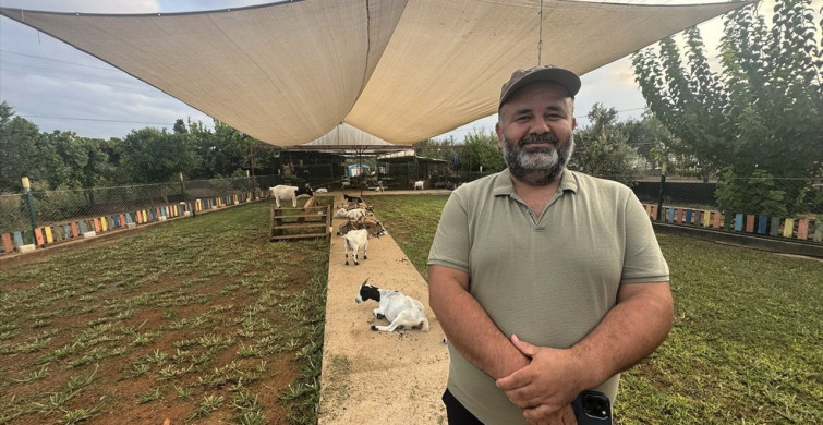 Antalya'da Poşet Geçiren Keçi Eğlenceli Anlar Yarattı