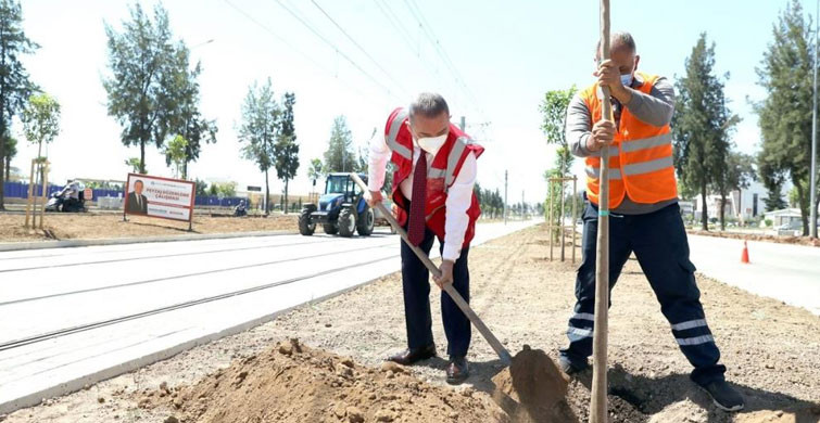 Antalya’da Tramvay Hattı Turunç Çiçeği Kokacak