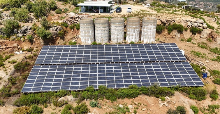 Antalya'da Tropikal Meyve Bahçelerindeki GES İle Enerji Tasarrufu