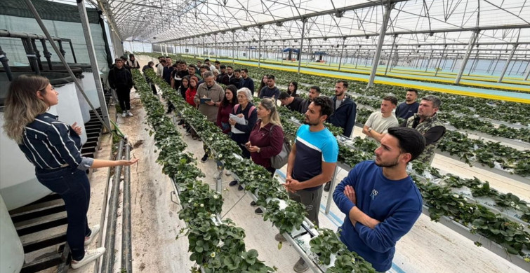 Antalya'da Üniversite Öğrencileri Topraksız Tarım ile Tanıştı