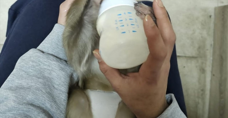 Antalya'da Uyuşturucu Operasyonu: 3 Gözaltı ve Ele Geçirilenler