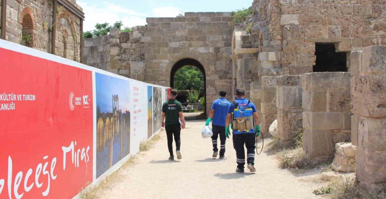 Antalya’da vektörle mücadele 19 ilçede sürdürülüyor