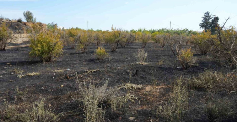 Antalya'da Yangın Tehdidi: Sera ve Evler Korundu